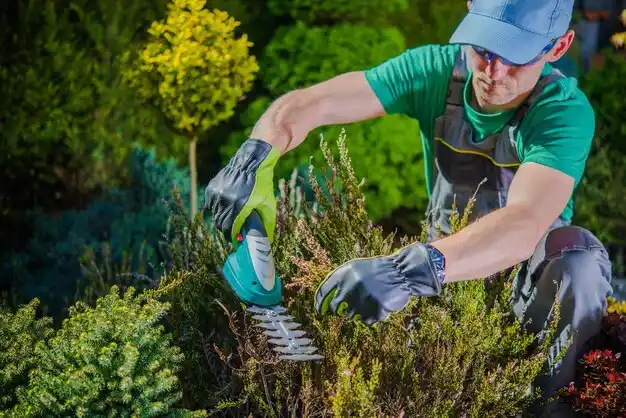 landscaping services St. Paris